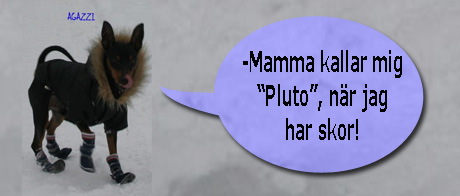bild6